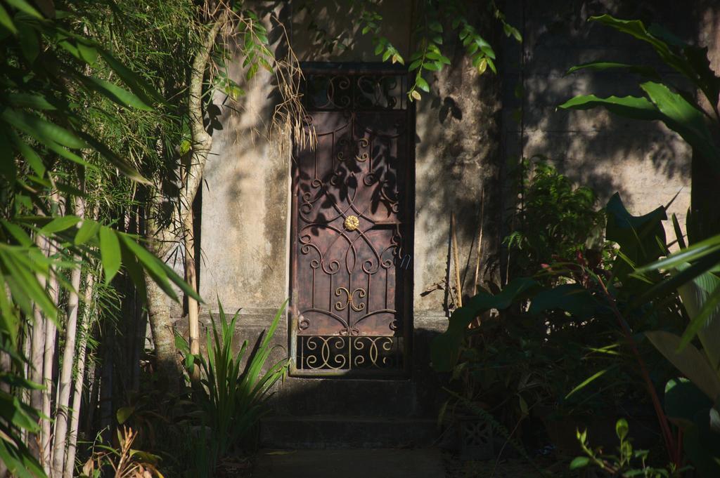 Taman Rahasia Tropical Sanctuary And Spa أوبود المظهر الخارجي الصورة